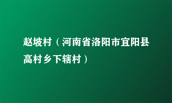 赵坡村（河南省洛阳市宜阳县高村乡下辖村）