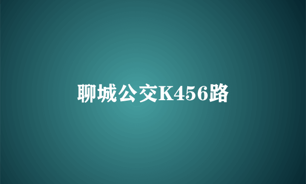 聊城公交K456路