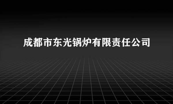 成都市东光锅炉有限责任公司