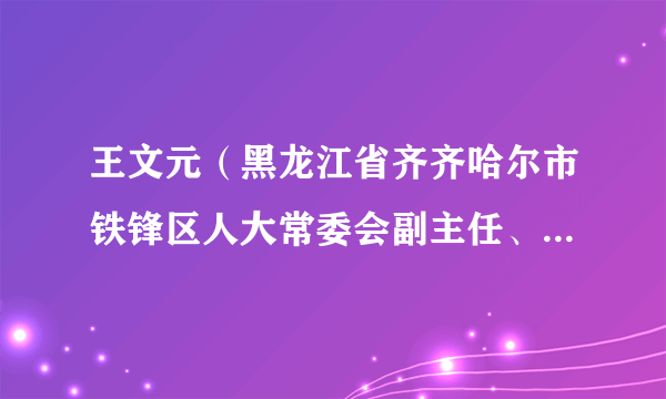 王文元（黑龙江省齐齐哈尔市铁锋区人大常委会副主任、工商联主席）