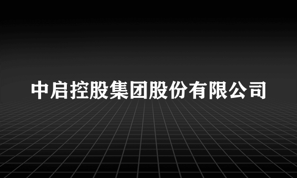 中启控股集团股份有限公司