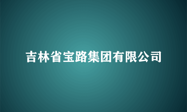 吉林省宝路集团有限公司