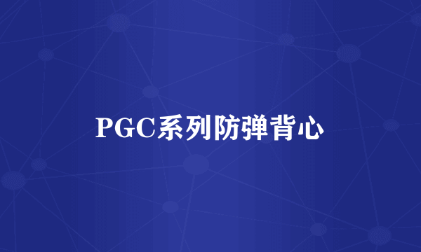 PGC系列防弹背心