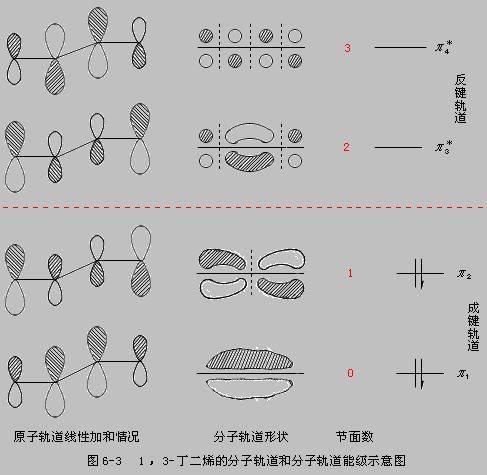 共轭二烯烃