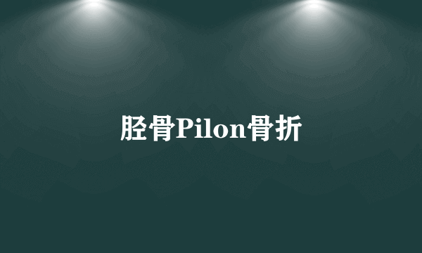 胫骨Pilon骨折