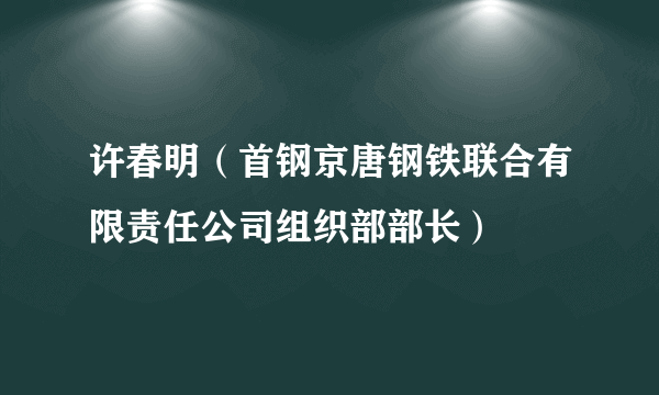 许春明（首钢京唐钢铁联合有限责任公司组织部部长）