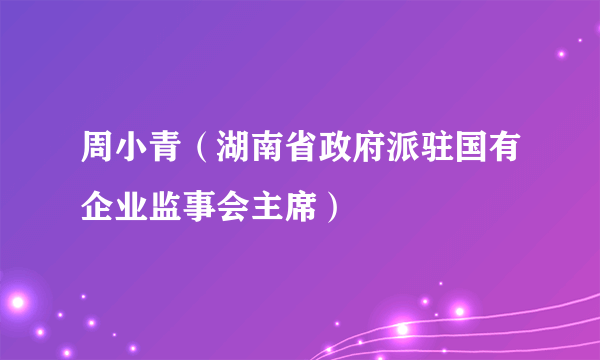 周小青（湖南省政府派驻国有企业监事会主席）