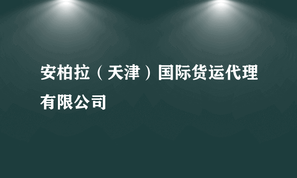 安柏拉（天津）国际货运代理有限公司