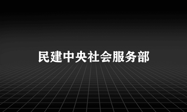 民建中央社会服务部