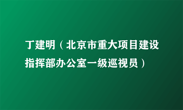 丁建明（北京市重大项目建设指挥部办公室一级巡视员）