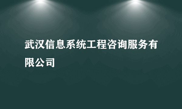 武汉信息系统工程咨询服务有限公司