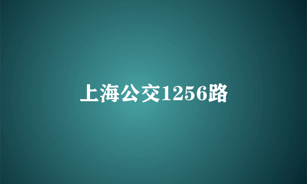 上海公交1256路