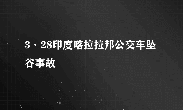 3·28印度喀拉拉邦公交车坠谷事故