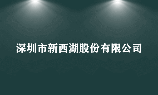 深圳市新西湖股份有限公司