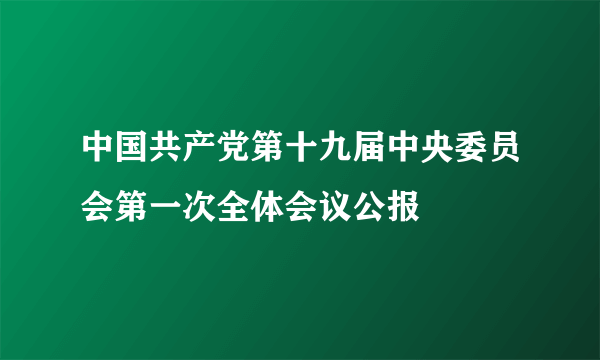 中国共产党第十九届中央委员会第一次全体会议公报