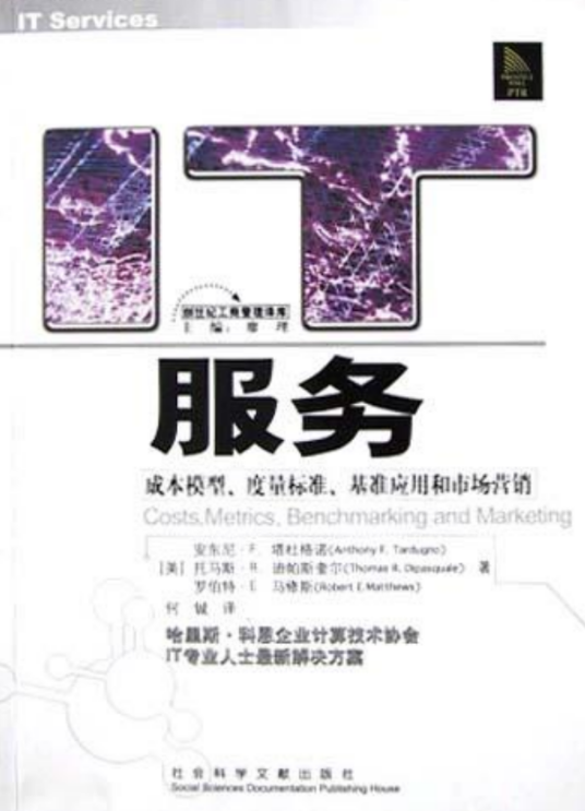 IT服务（2003年社会科学文献出版社出版的图书）