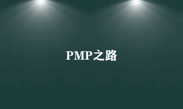 PMP之路