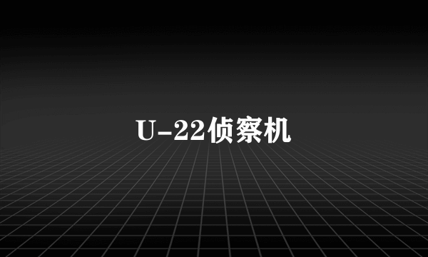 U-22侦察机