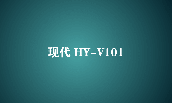 现代 HY-V101