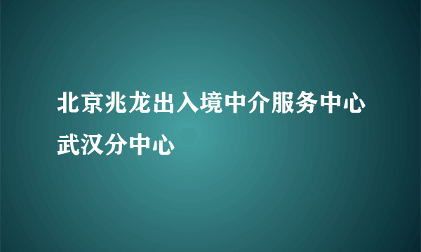 北京兆龙出入境中介服务中心武汉分中心