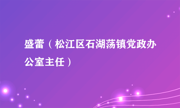 盛蕾（松江区石湖荡镇党政办公室主任）