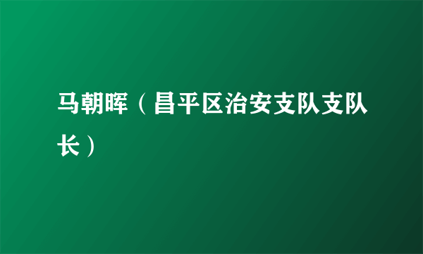 马朝晖（昌平区治安支队支队长）