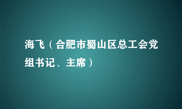 海飞（合肥市蜀山区总工会党组书记、主席）