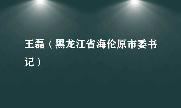 王磊（黑龙江省海伦原市委书记）