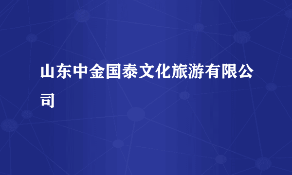 山东中金国泰文化旅游有限公司