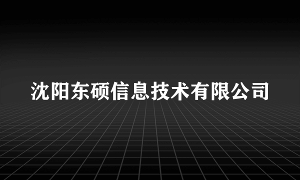 沈阳东硕信息技术有限公司