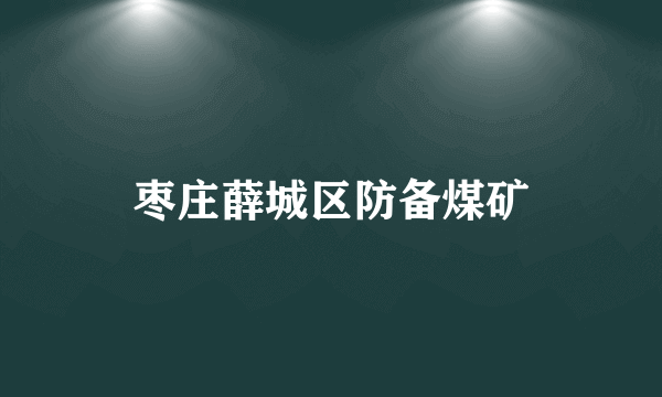 枣庄薛城区防备煤矿