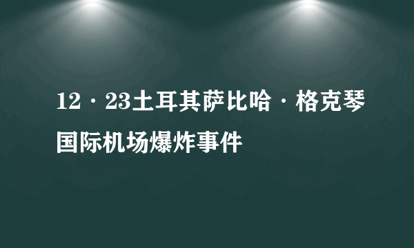 12·23土耳其萨比哈·格克琴国际机场爆炸事件