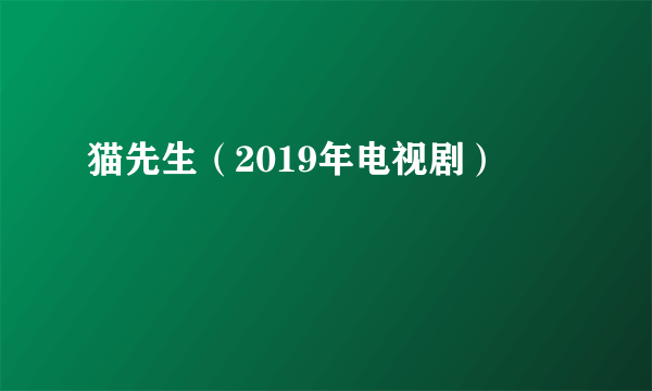 猫先生（2019年电视剧）