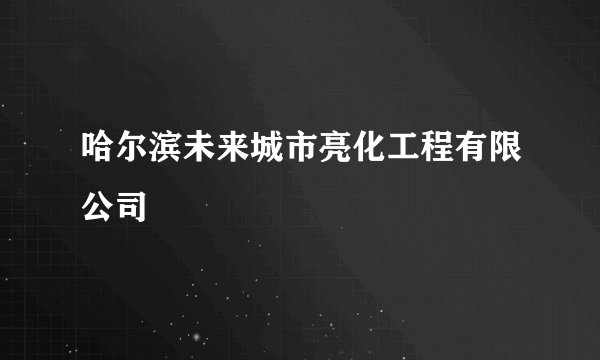 哈尔滨未来城市亮化工程有限公司