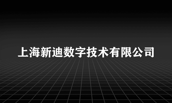 上海新迪数字技术有限公司