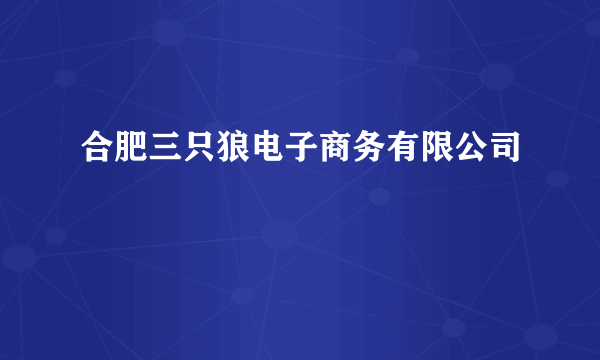 合肥三只狼电子商务有限公司