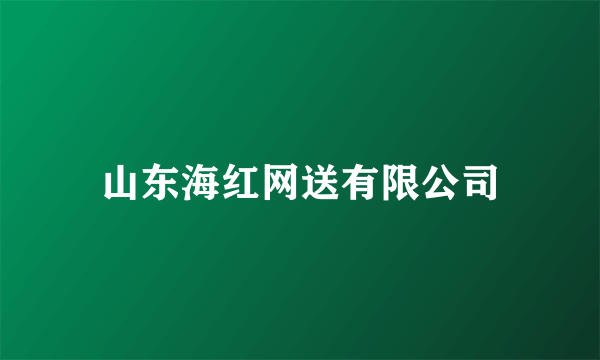 山东海红网送有限公司