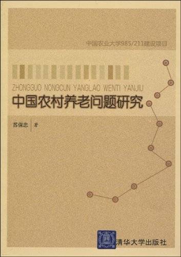 中国农村养老问题研究