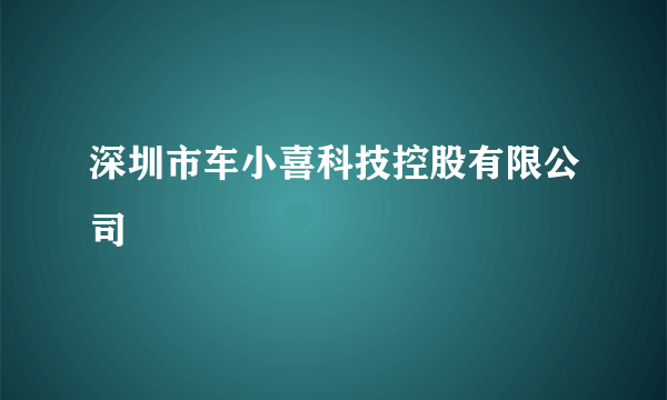 深圳市车小喜科技控股有限公司