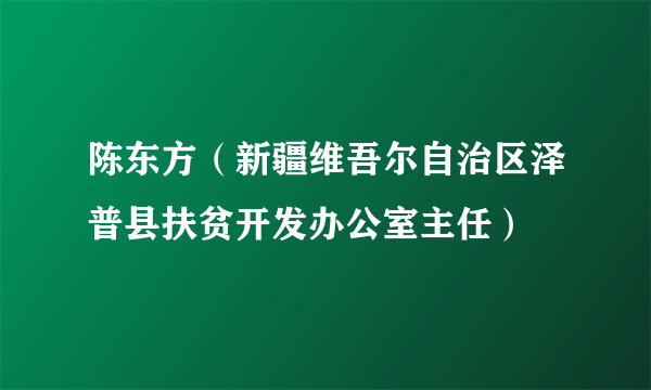 陈东方（新疆维吾尔自治区泽普县扶贫开发办公室主任）