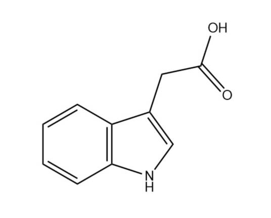 生长素