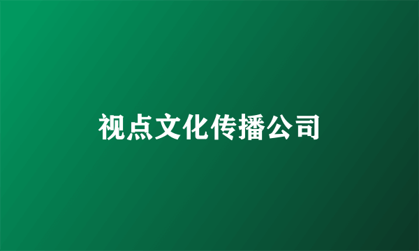 视点文化传播公司