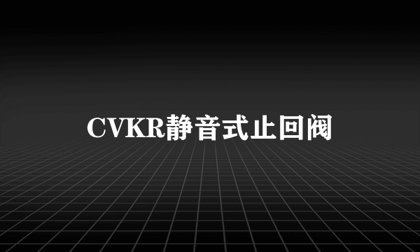 CVKR静音式止回阀