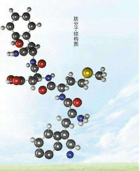 免疫调节肽