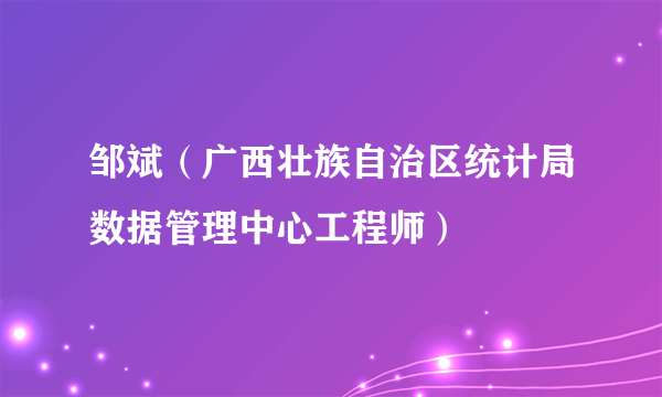 邹斌（广西壮族自治区统计局数据管理中心工程师）