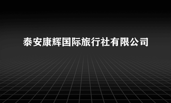 泰安康辉国际旅行社有限公司