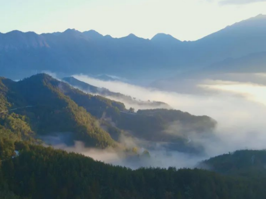 陕西米仓山国家级自然保护区