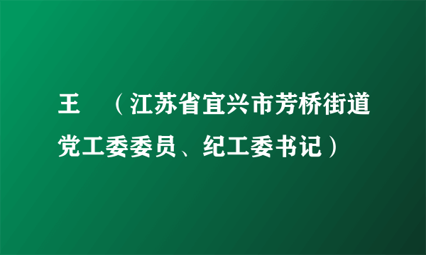 王弢（江苏省宜兴市芳桥街道党工委委员、纪工委书记）