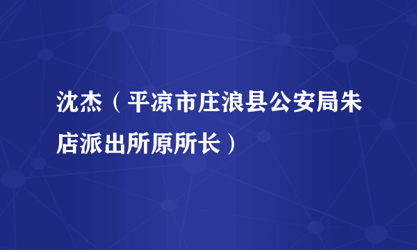 沈杰（平凉市庄浪县公安局朱店派出所原所长）