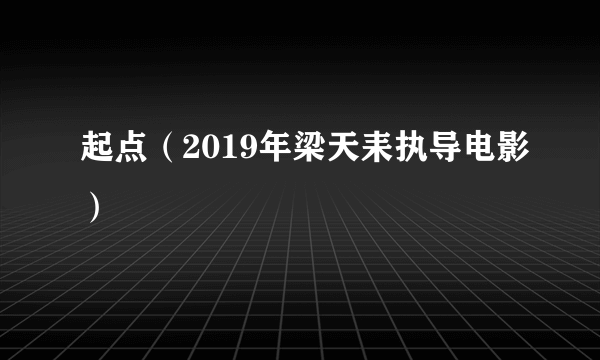 起点（2019年梁天耒执导电影）